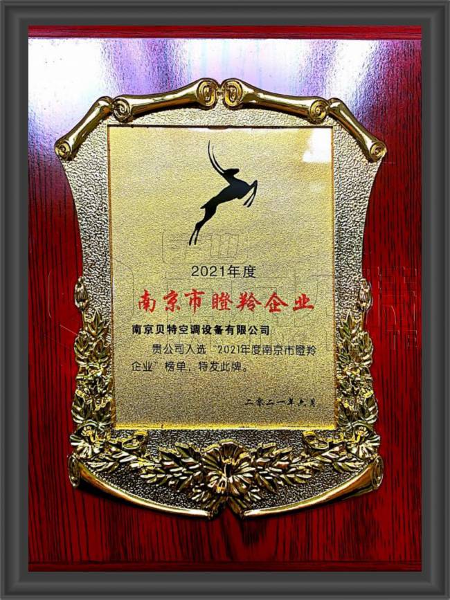南京市瞪羚企業(yè)